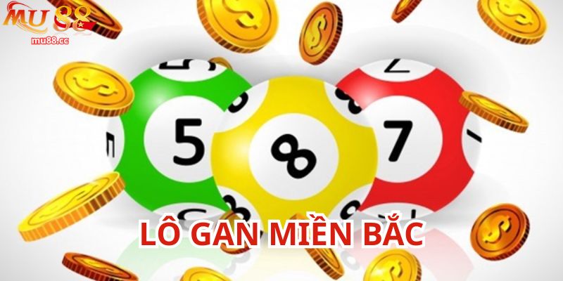Khám phá lô gan miền Bắc